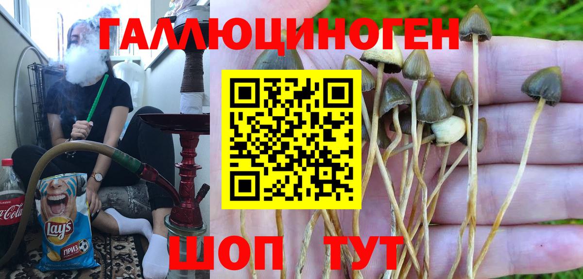 Галлюциногенные грибы Psilocybine cubensis  Вход с VPN  Галлюциногенные грибы Psilocybe  Кунгур 